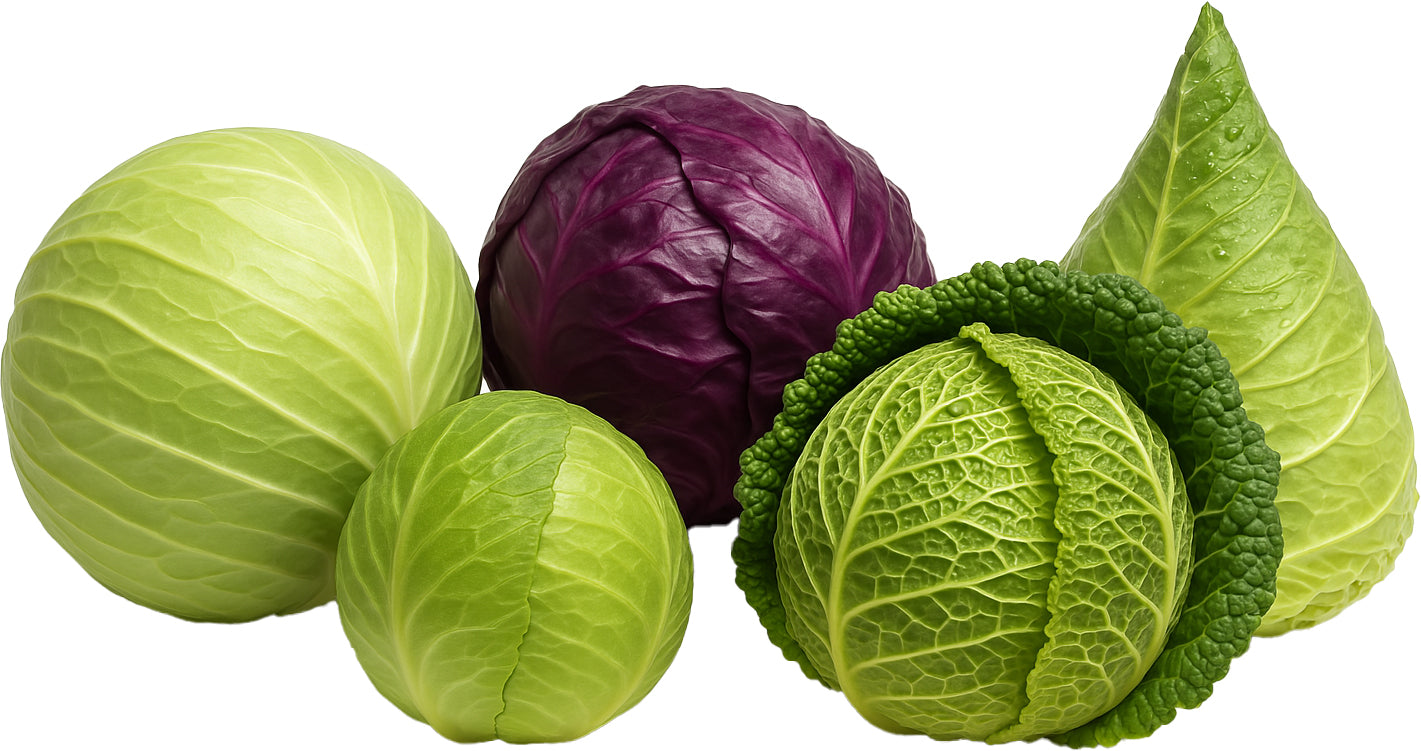 Cabbage Combo - 5 Varieties