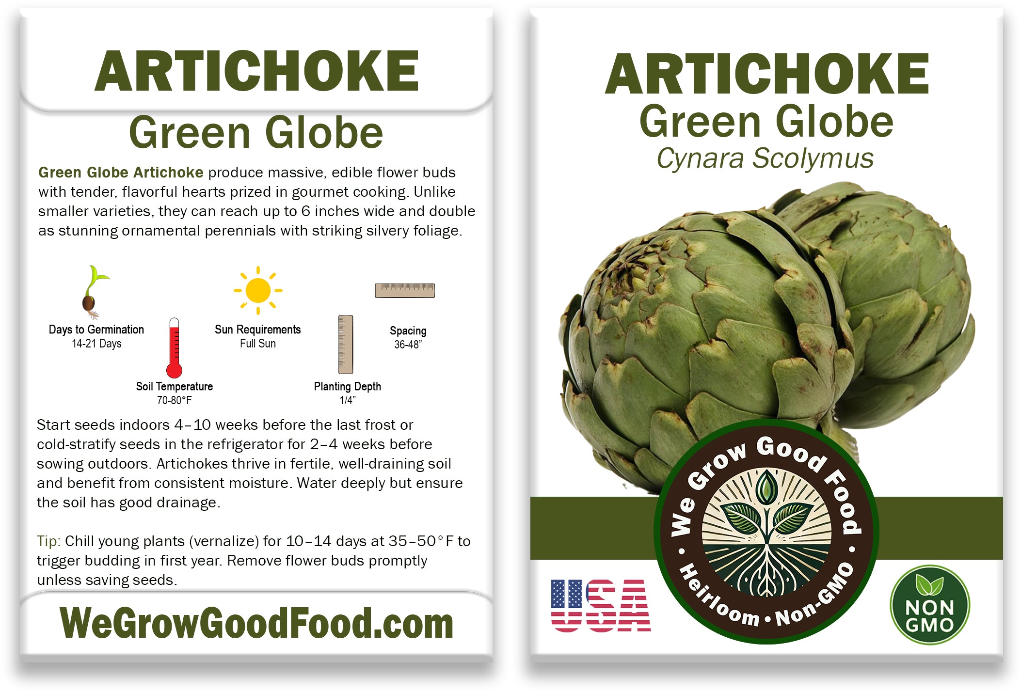 Green Globe Artichoke Seeds
