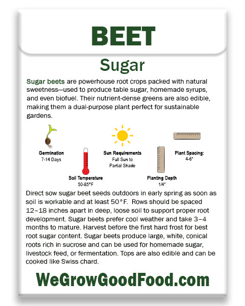 Back of seed packet includes sowing depth, spacing, harvest time, and growing tips for Sugar Beets. Biennial grown annually for sweet roots.