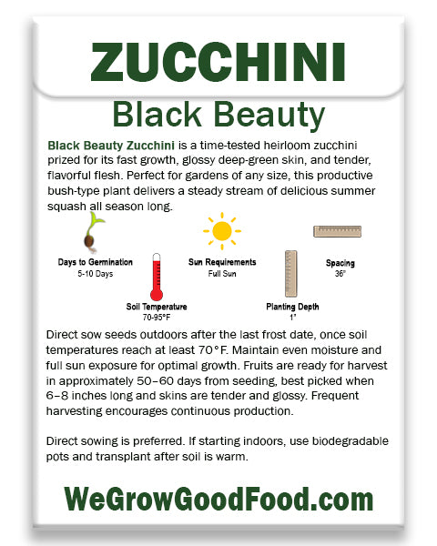 Black beauty Zucchini Seed Instructions