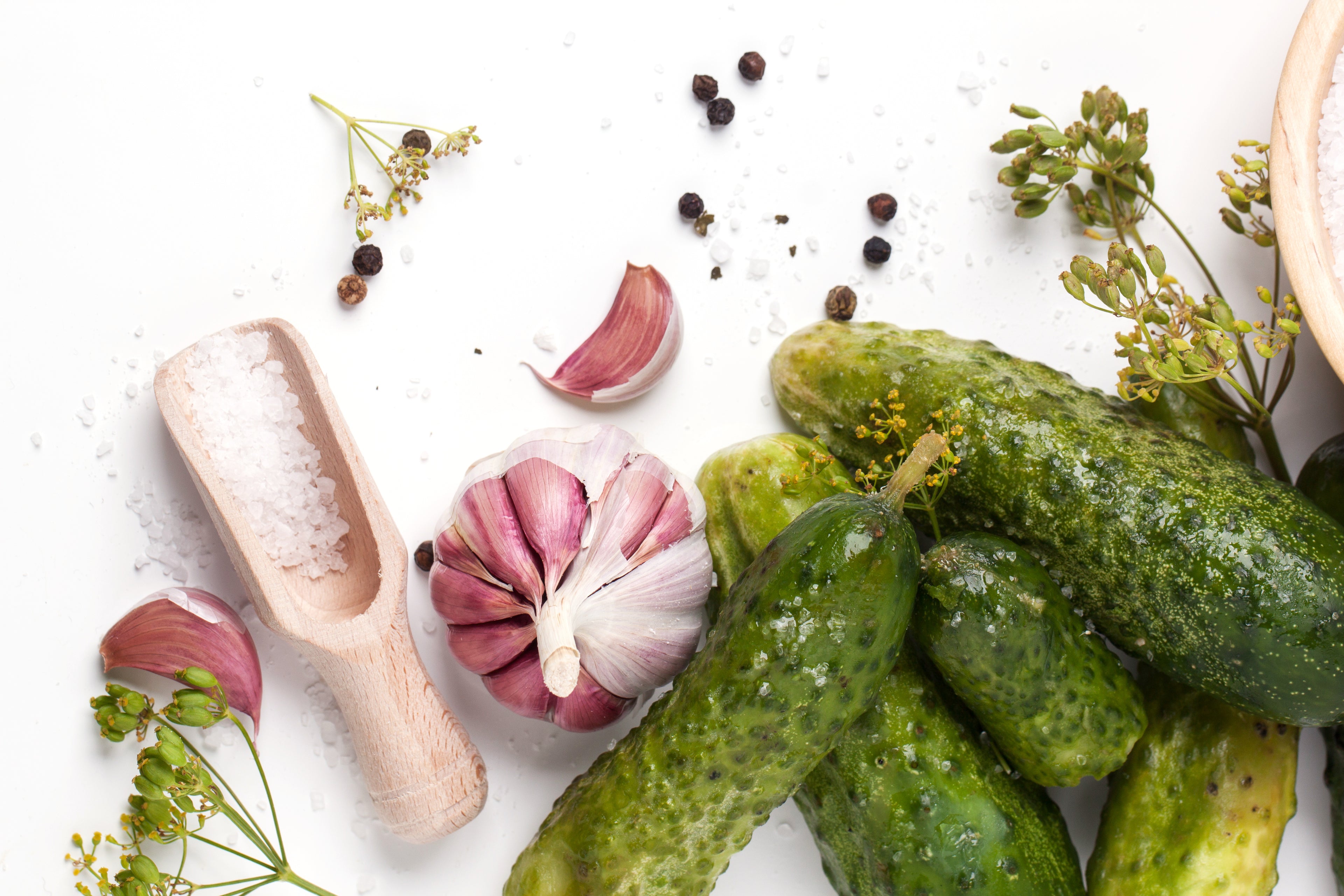 Boston Pickling Cucumber Seeds
