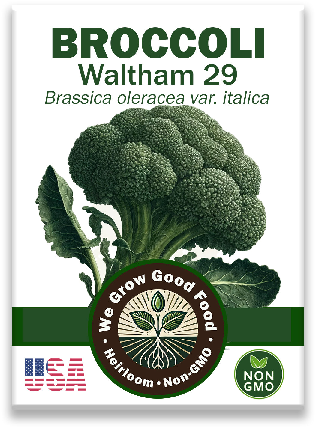 Waltham 29 Broccoli Seeds