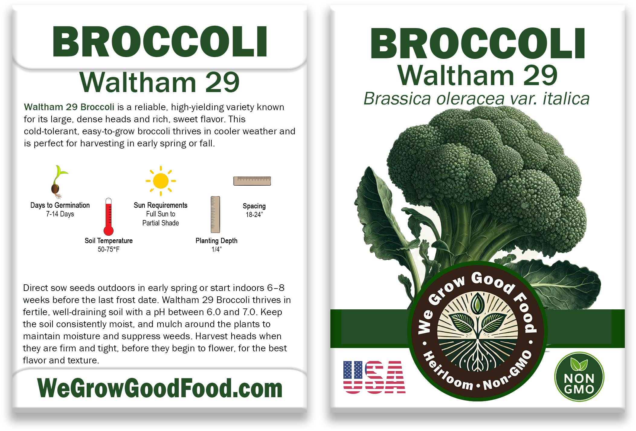 Waltham 29 Broccoli Seeds