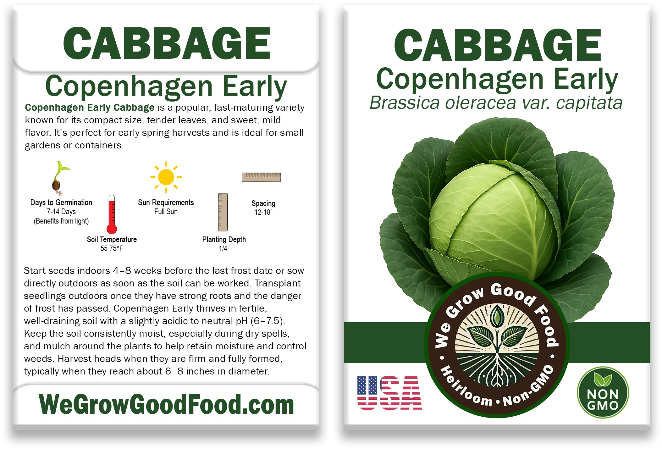 Copenhagen Early Cabbage Seeds