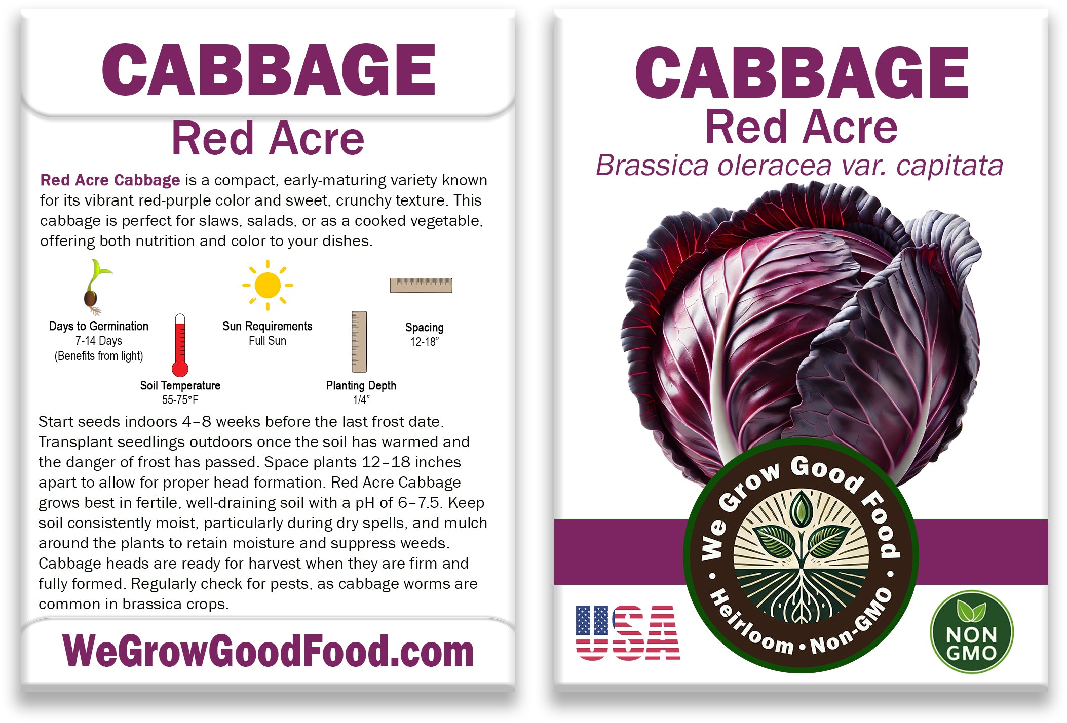 Cabbage Seeds, Red Acre