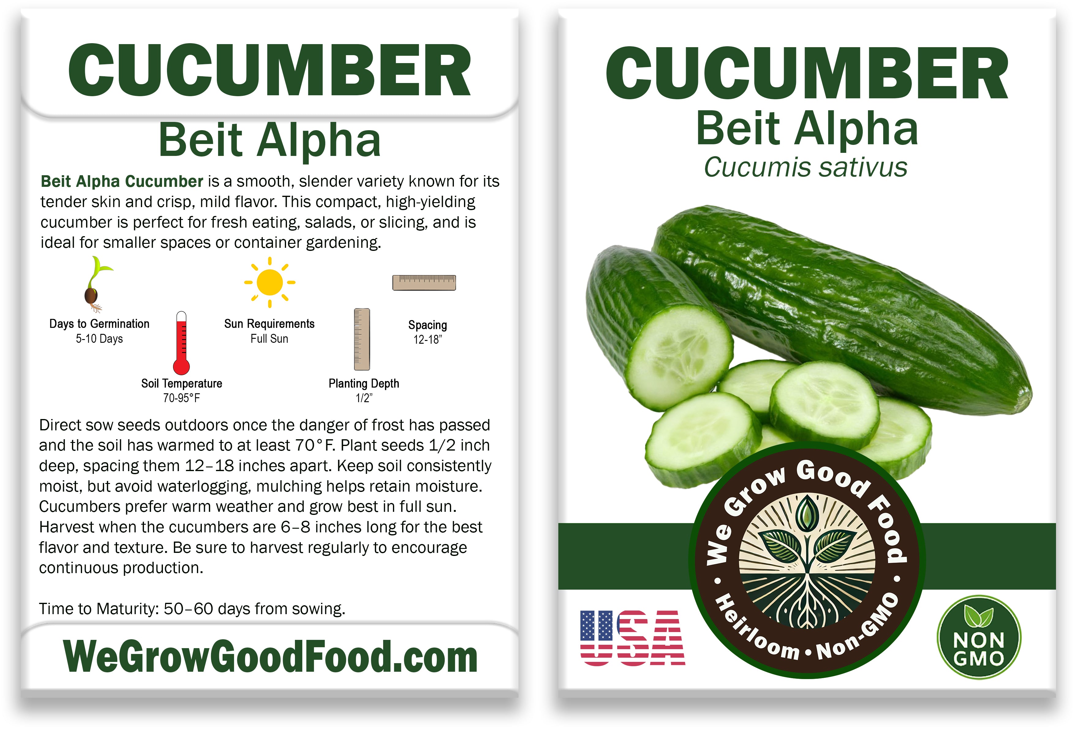 Cucumber Seeds, Beit Alpha