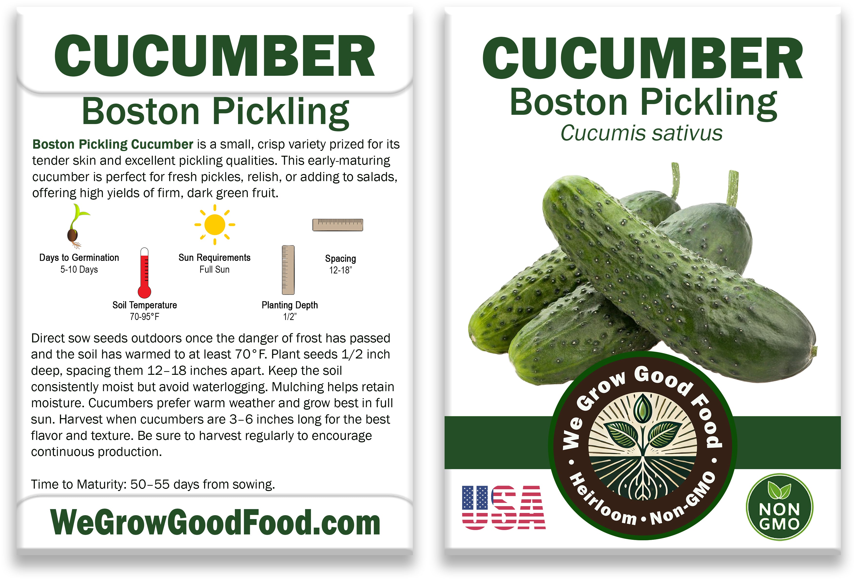 Boston Pickling Cucumber Seeds
