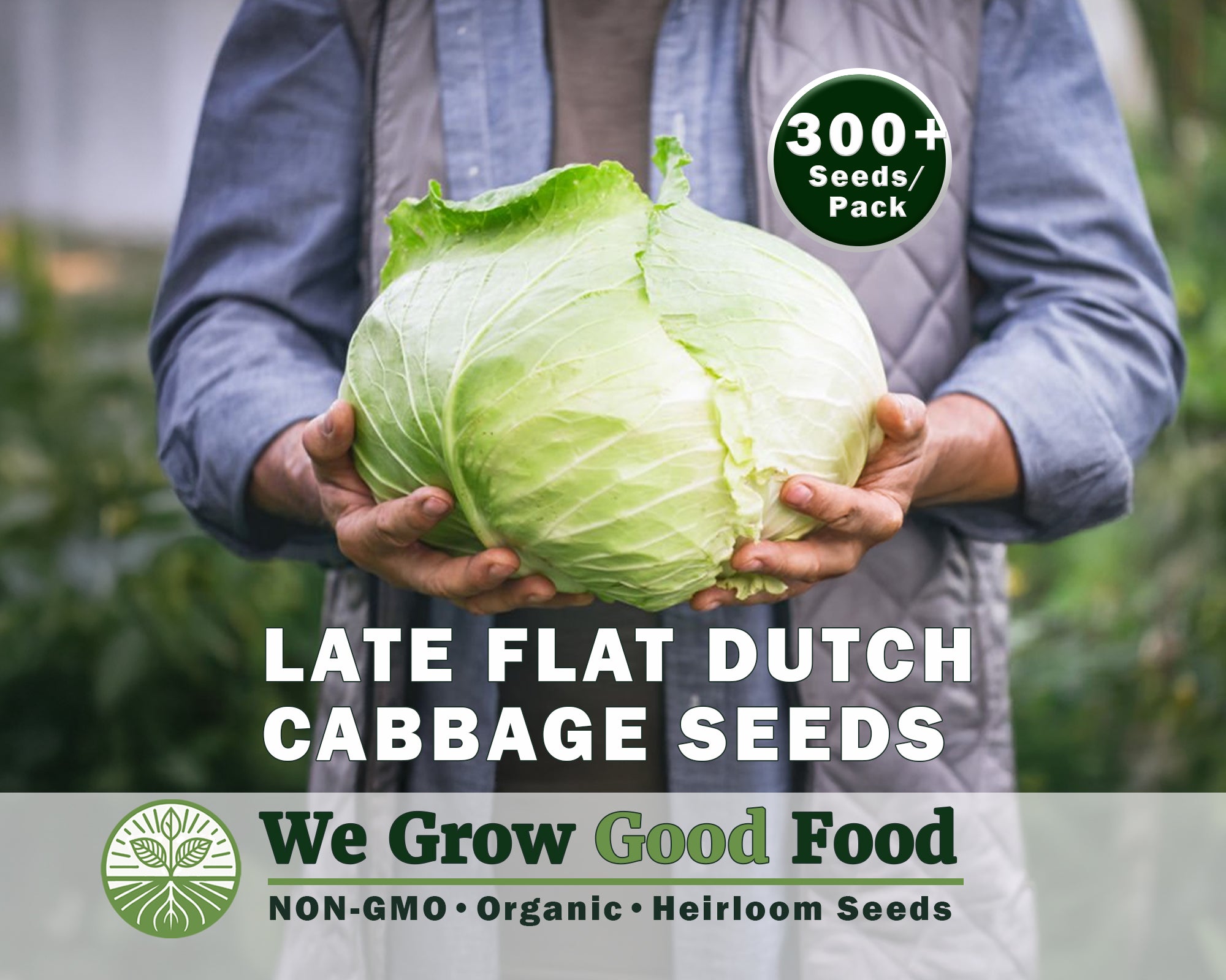 Cabbage Seeds, Late Flat Dutch