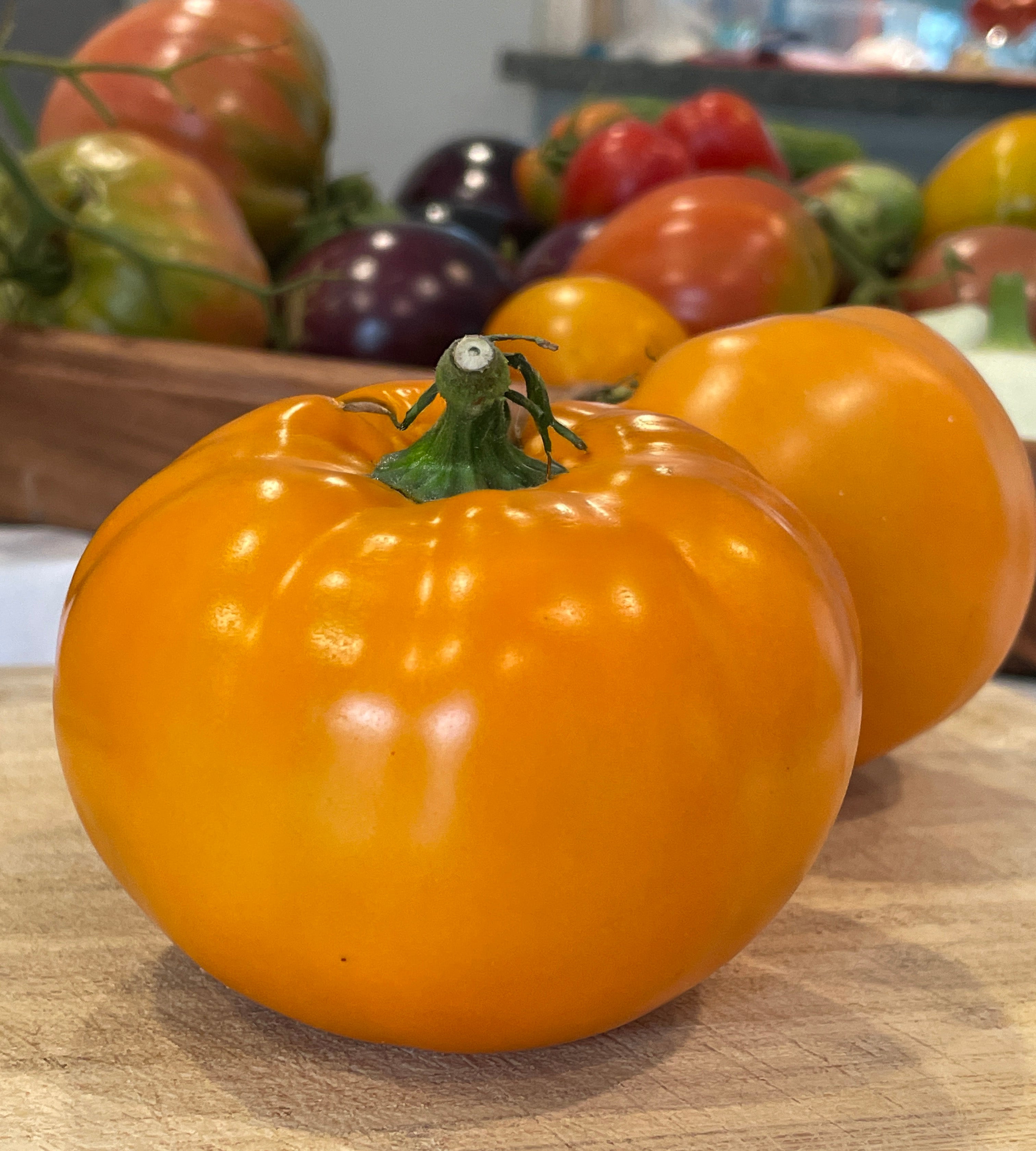 Golden Jubilee Tomato Seeds