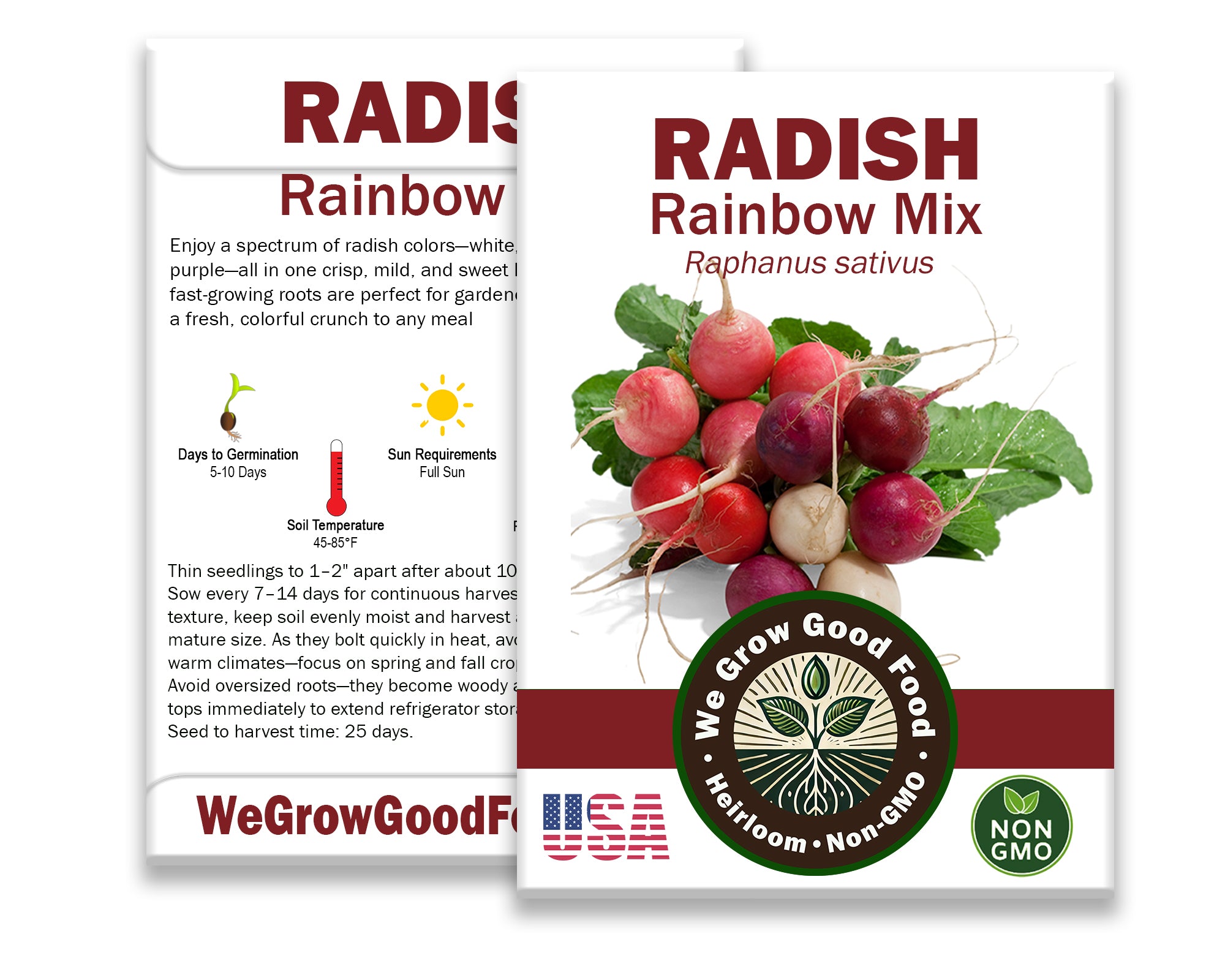 Fast-Growing Radish Sprouts – Rainbow Color Mix