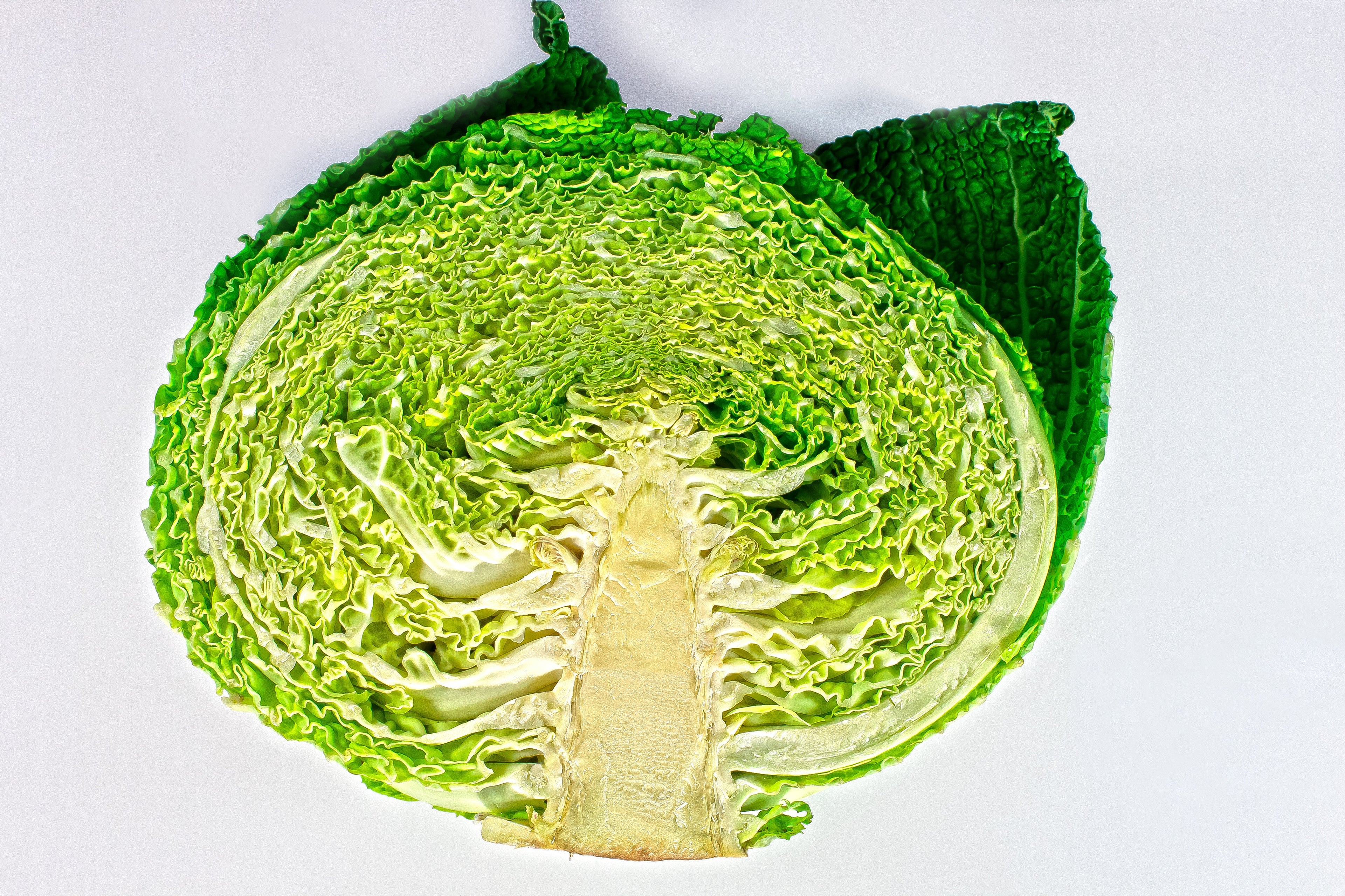 Savoy Perfection Cabbage Seeds