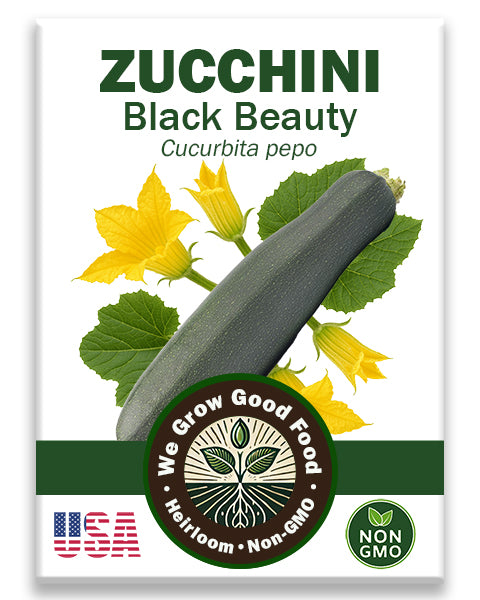 Black beauty Zucchini Seeds for Garden Planting