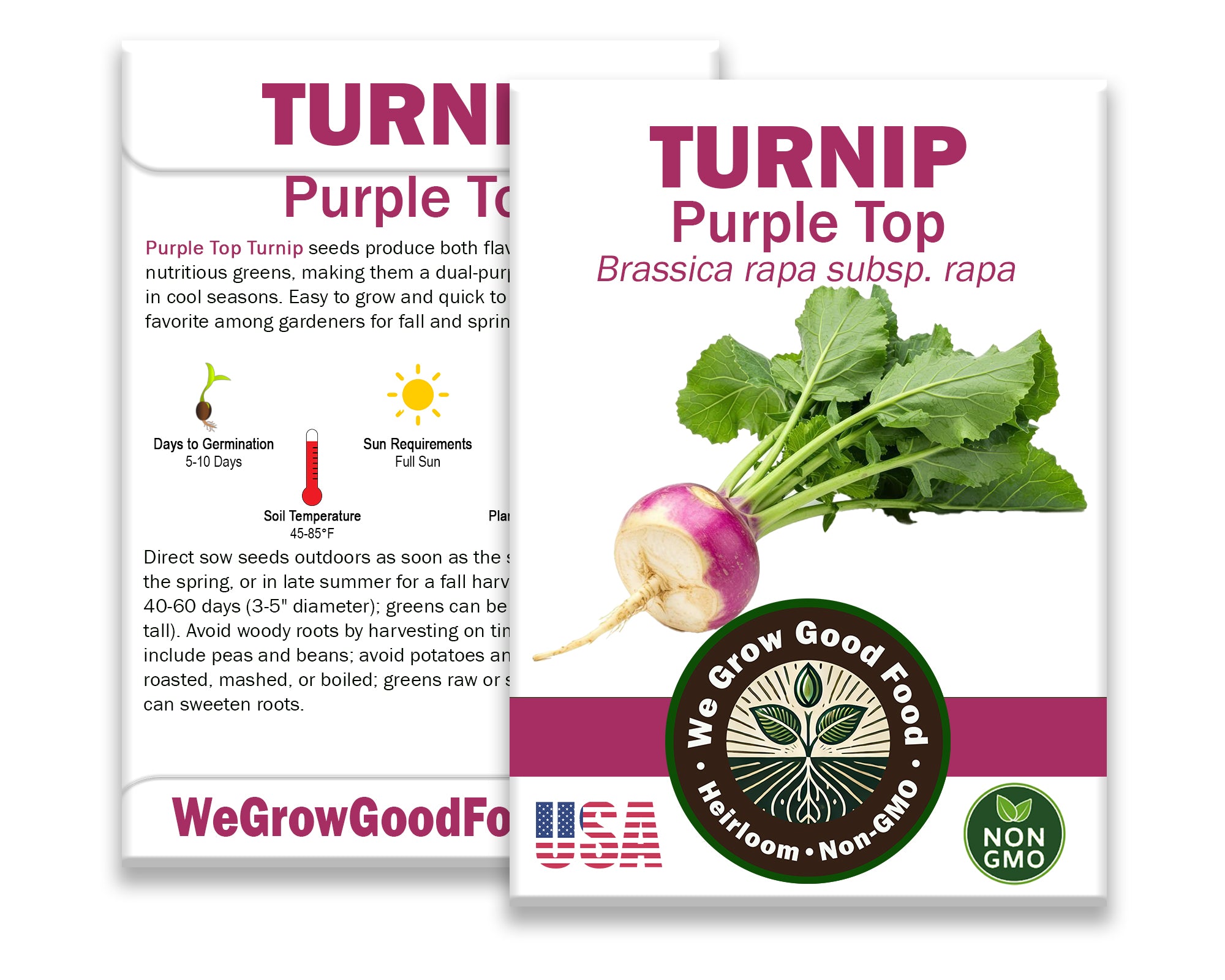 Turnip Seeds, Purple Top