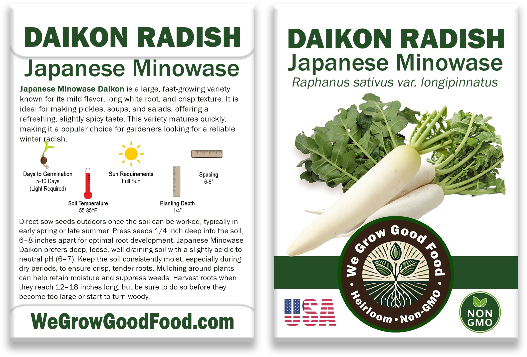 Daikon Radish Seeds