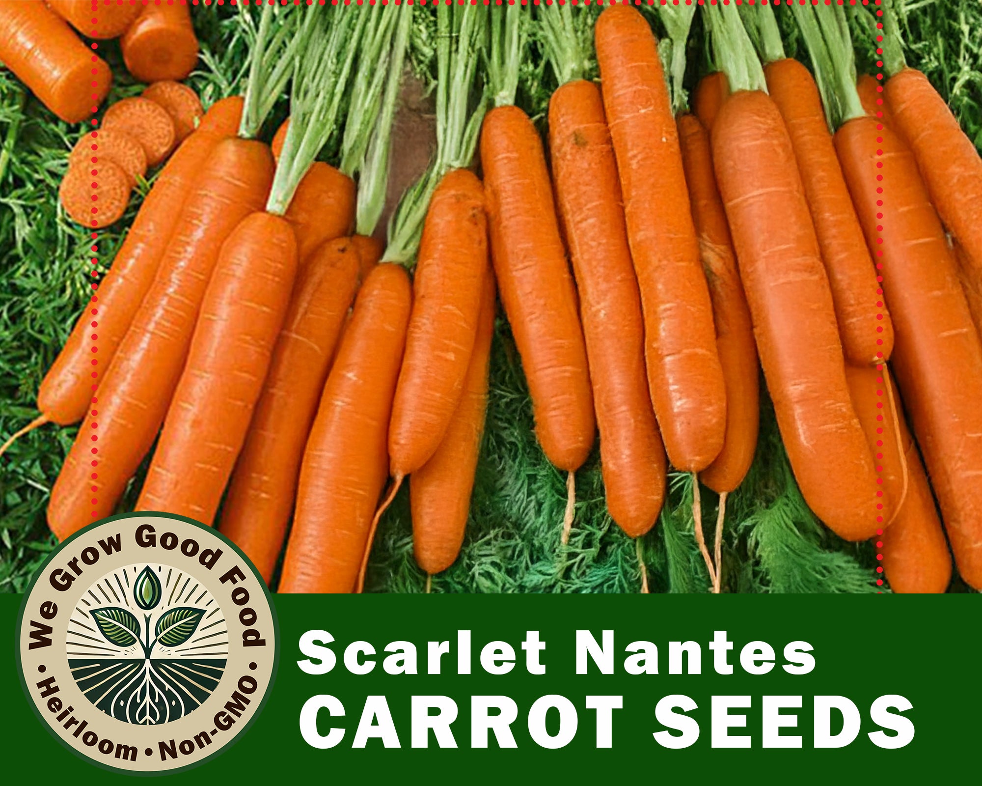 Carrot Seeds, Scarlet Nantes