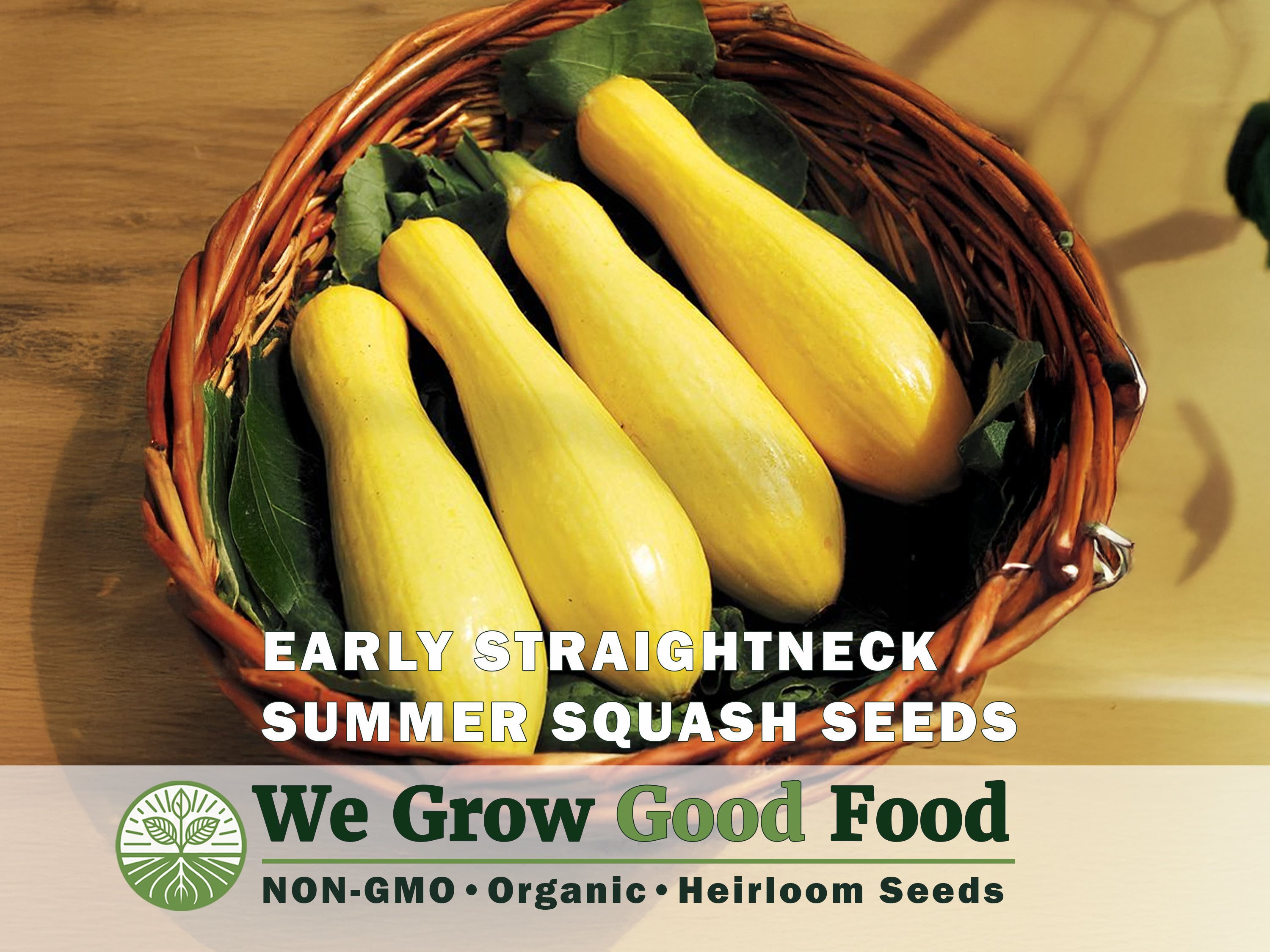 Ultimate Squash Collection – 9 Individually Packaged Varieties