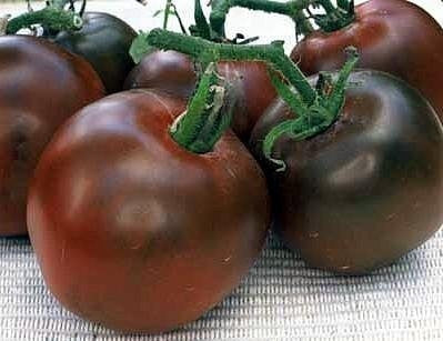 Ultimate Tomato Seed Collection – 6 Individually Packaged Varieties