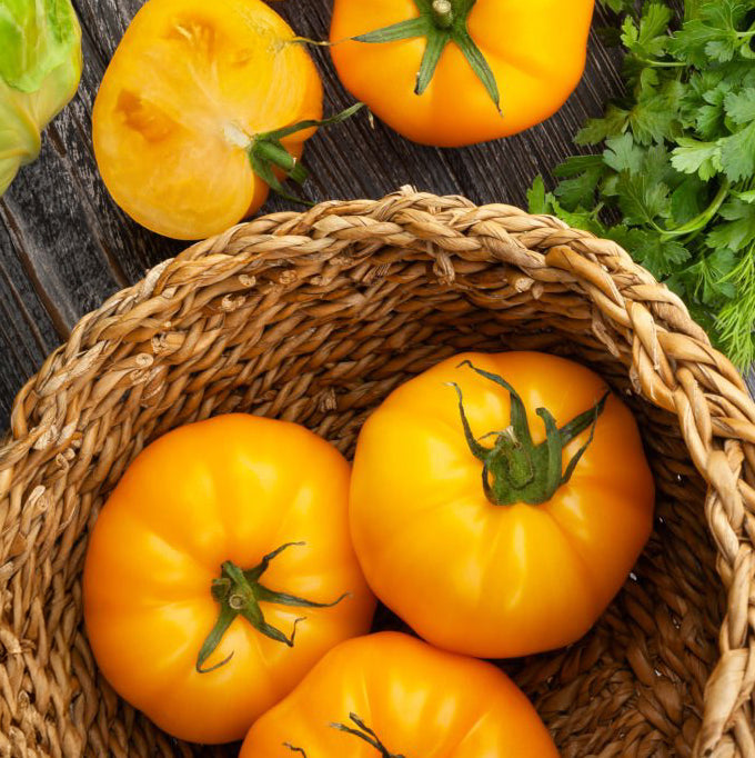 Golden Jubilee Tomato Seeds