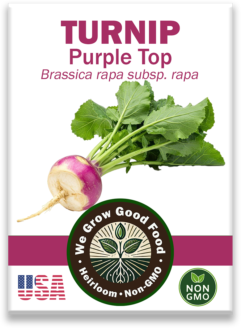 Organic Purple Top Turnip seed packet showing variety name and image.