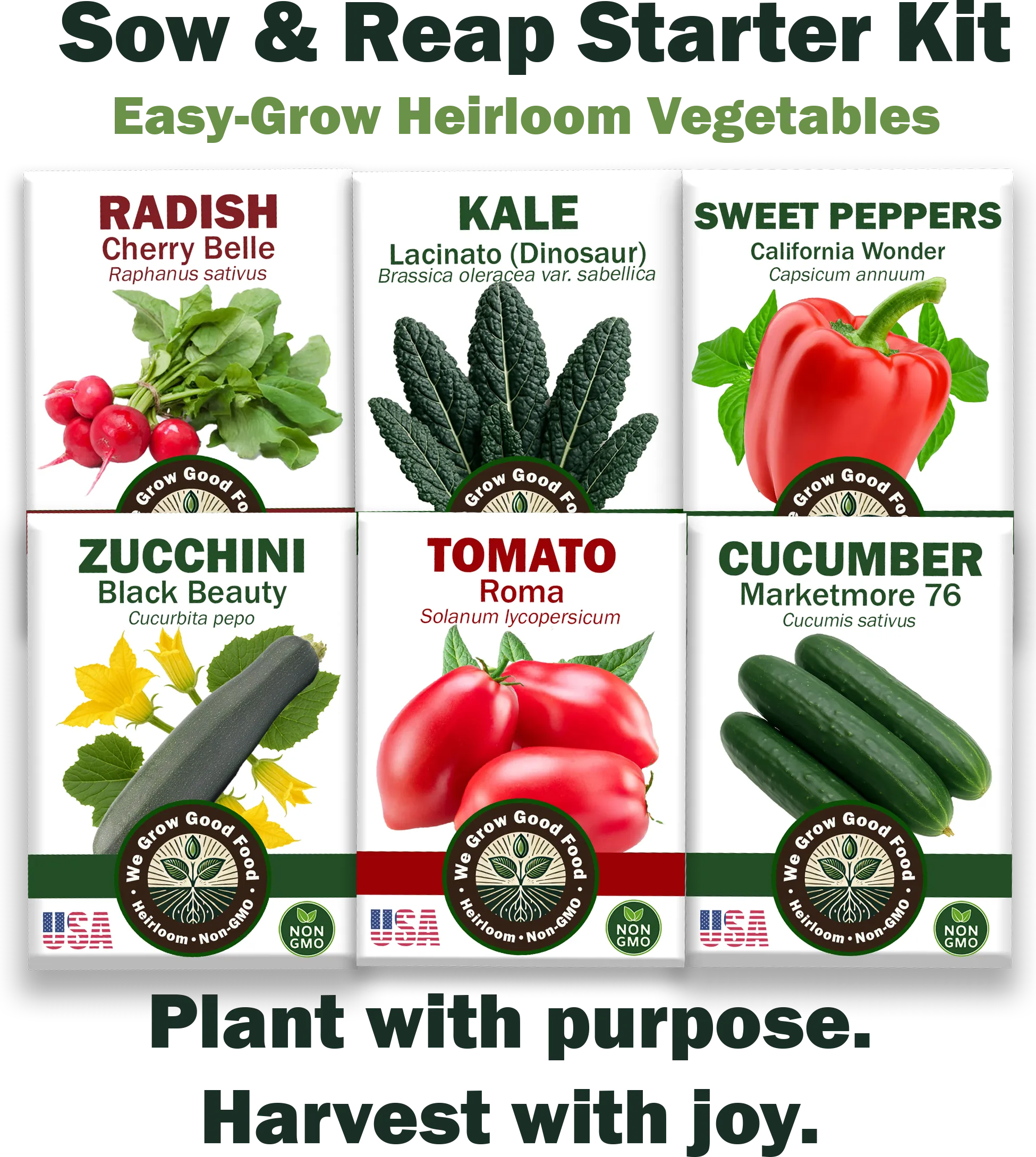 Front image of Sow & Reap Starter Kit featuring 6 heirloom vegetable seed packs: Roma Tomato, Marketmore 76 Cucumber, California Wonder Sweet Pepper, Black Beauty Zucchini, Lacinato Kale, and Cherry Belle Radish. Easy-grow non-GMO seeds arranged in a checkerboard pattern for instant garden planning. Ideal for beginner gardeners using raised beds, containers, or small spaces.