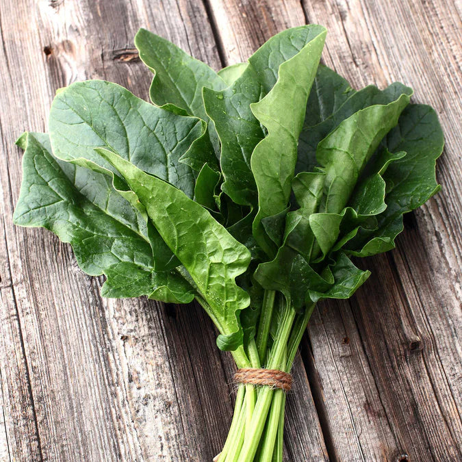 Bloomsdale Spinach Seeds