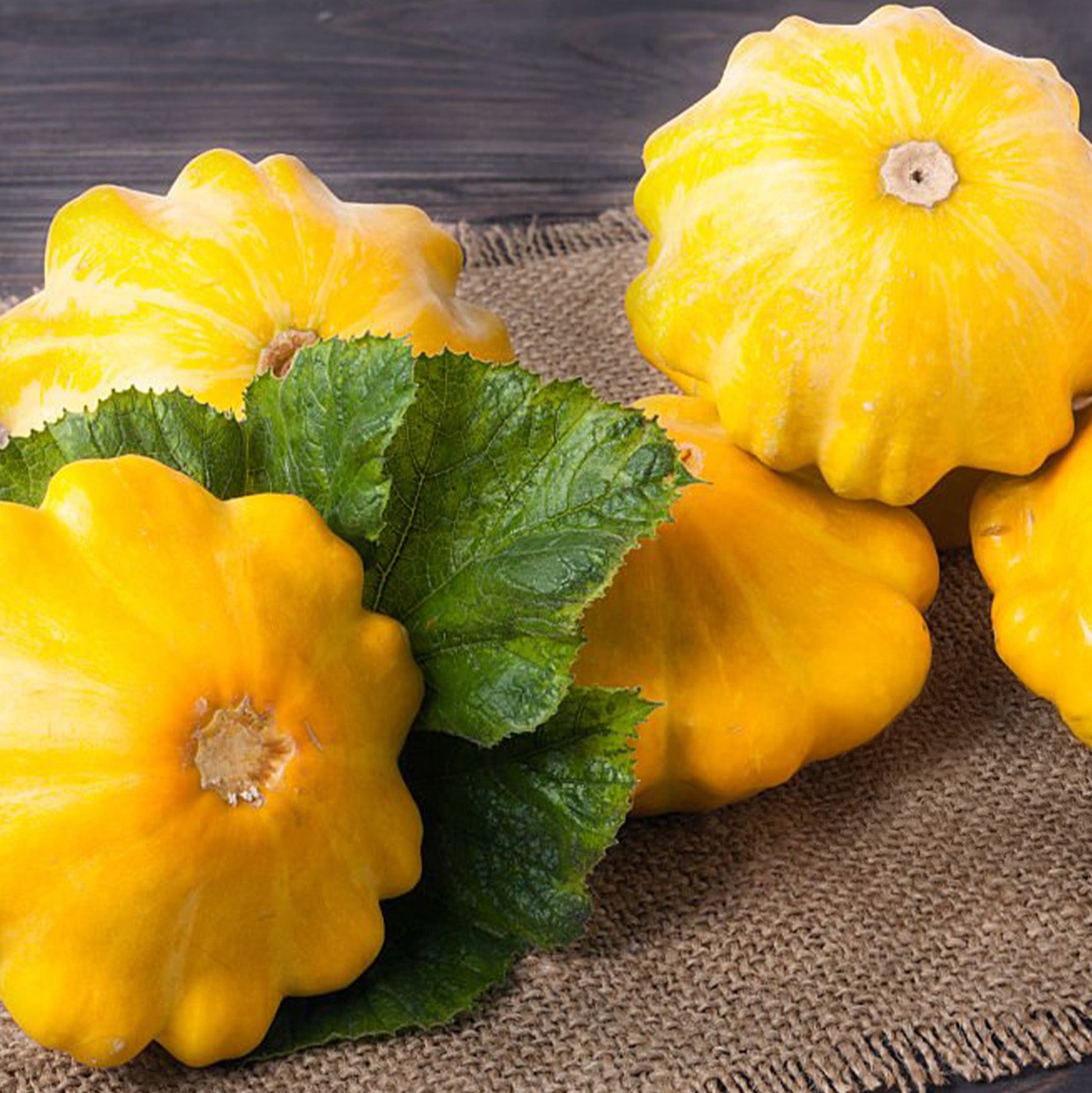 Ultimate Squash Collection – 9 Individually Packaged Varieties