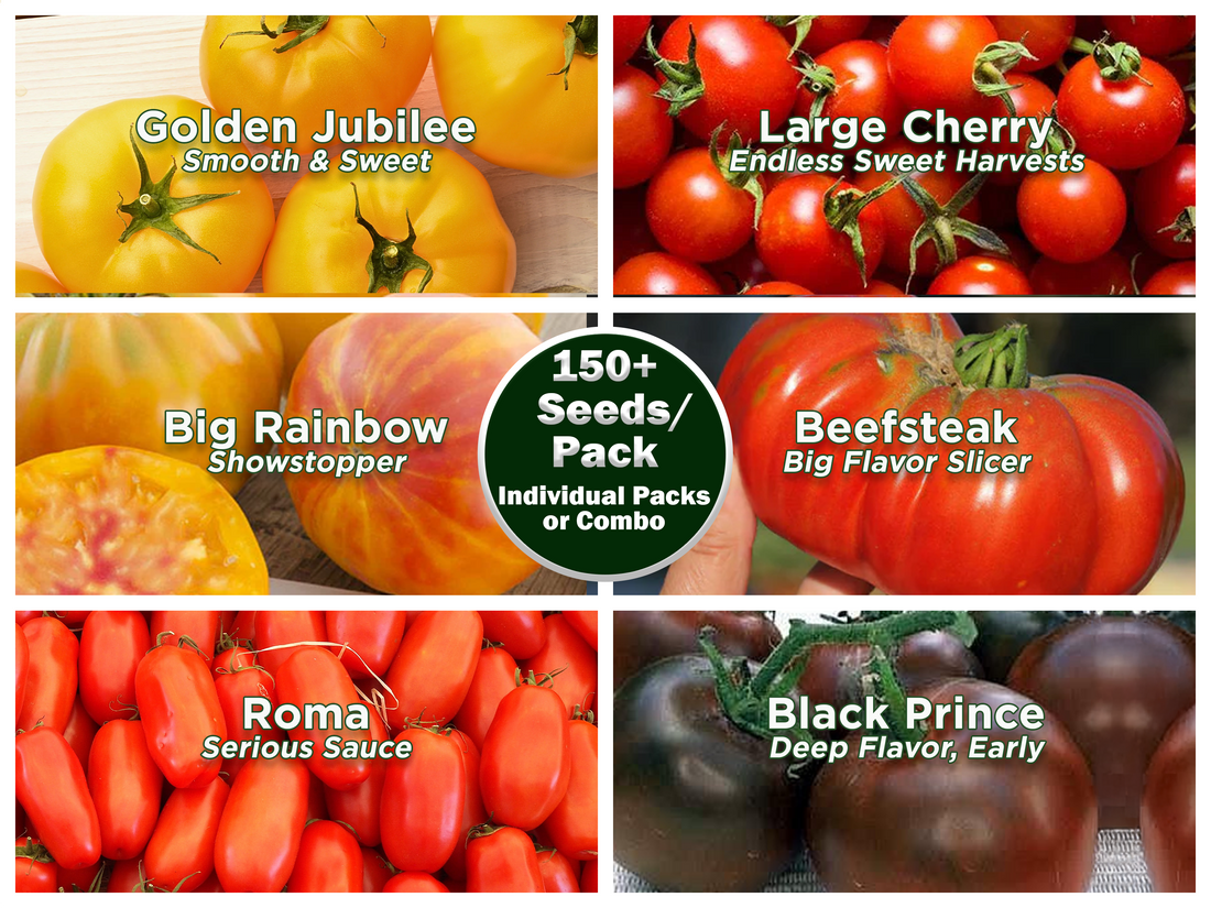 Ultimate Tomato Seed Collection – 6 Individually Packaged Varieties
