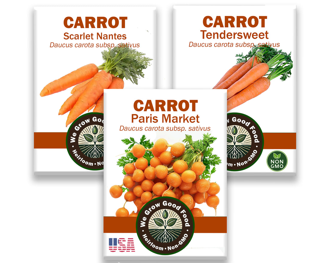 Carrot Variety Seed Pack – 3 Heirloom Types for Sweet, Round &amp; Juicy Roots