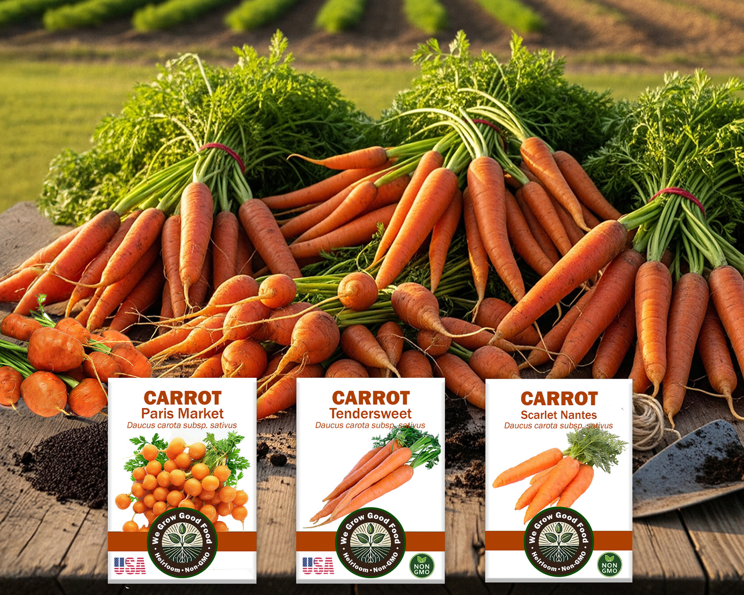 Carrot Variety Seed Pack – 3 Heirloom Types for Sweet, Round &amp; Juicy Roots