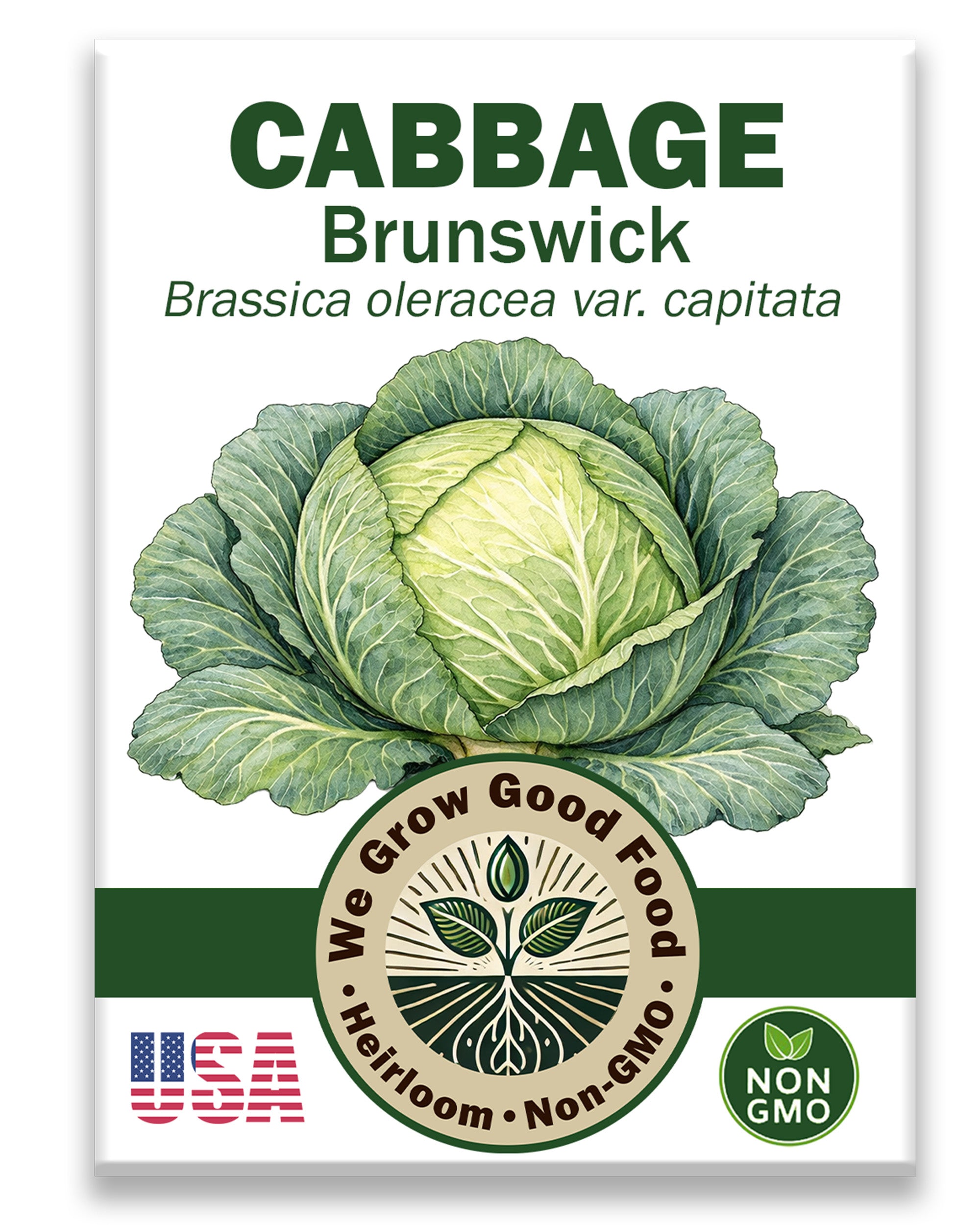 Cabbage Seeds, Brunswick Cabbage