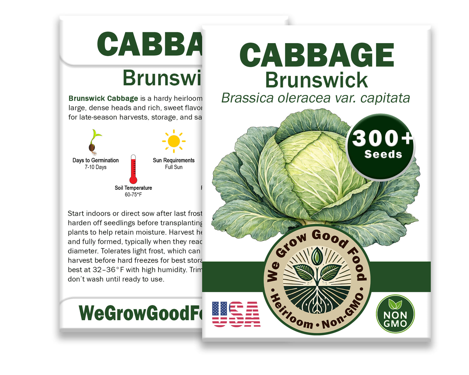 Cabbage Seeds, Brunswick Cabbage