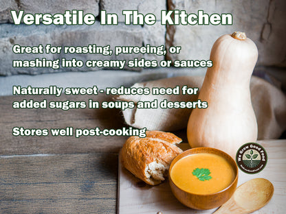 Ultimate Squash Collection – 9 Individually Packaged Varieties