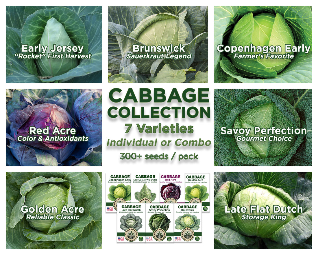 Cabbage Combo - 7 Varieties