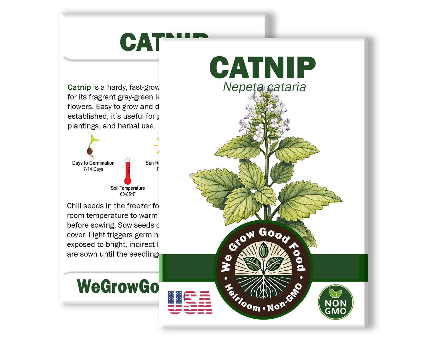 Catnip Seeds, Nepeta cataria