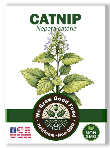 Catnip Seeds, Nepeta cataria