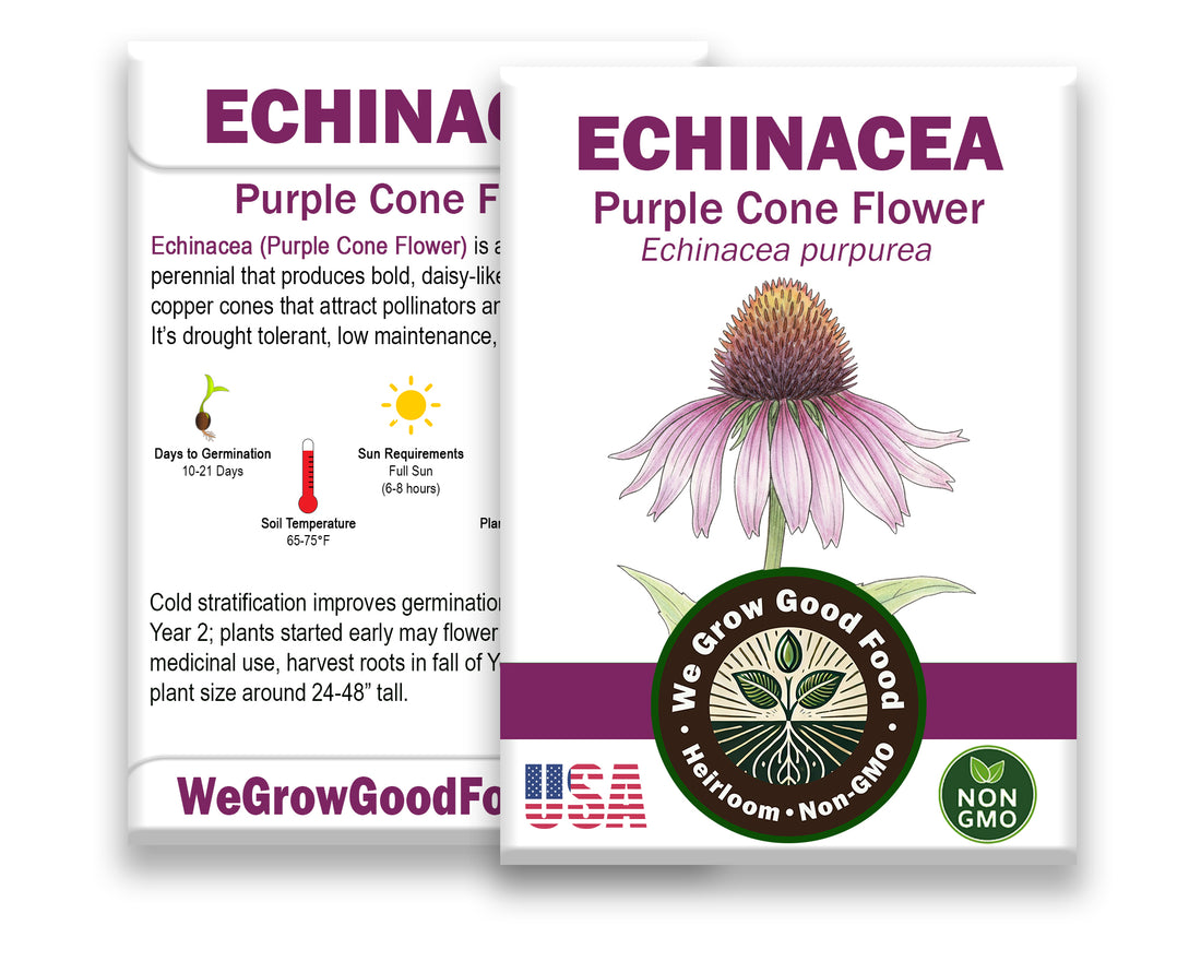 Echinacea (aka Purple Coneflower) Seeds