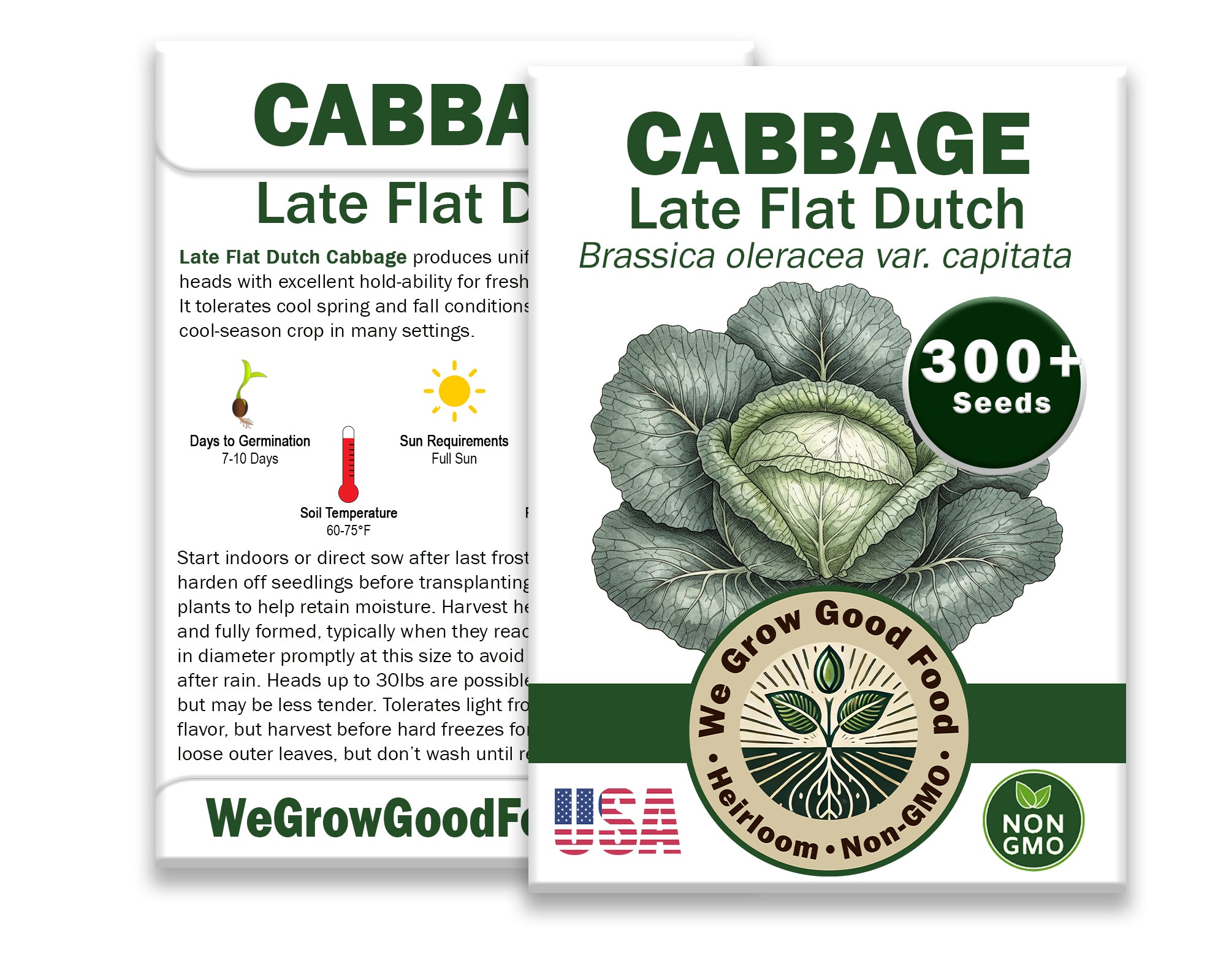 Cabbage Seeds, Late Flat Dutch