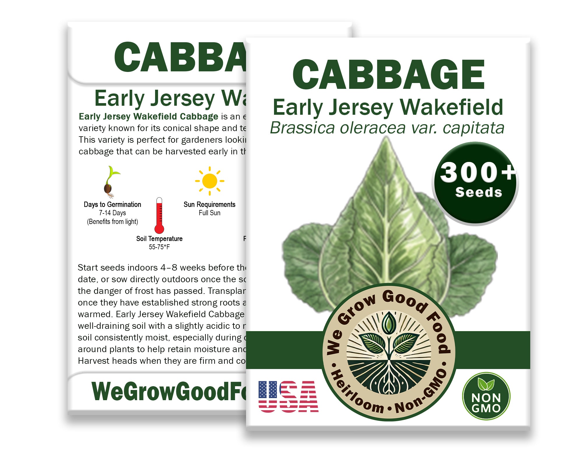 Cabbage Seeds, Early Jersey Wakefield