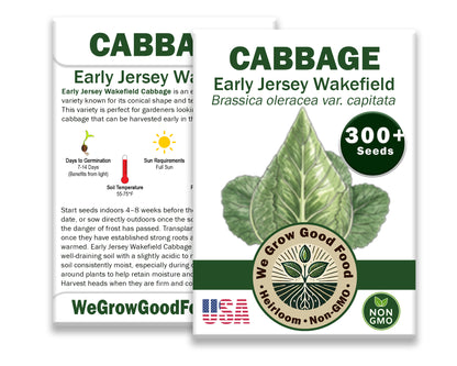 Cabbage Seeds, Early Jersey Wakefield