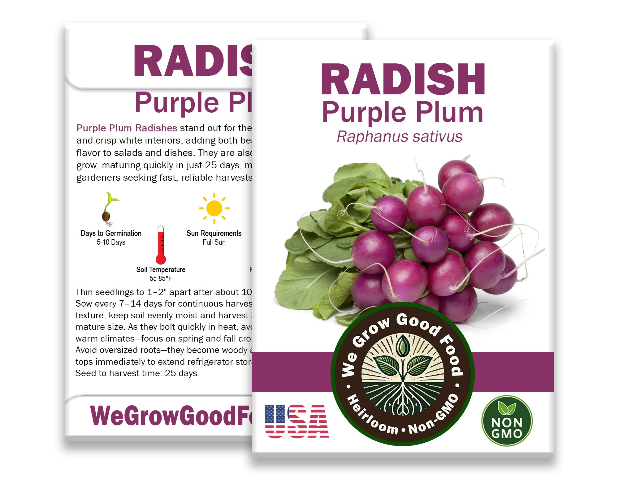 Organic Purple Plum Radish seeds
