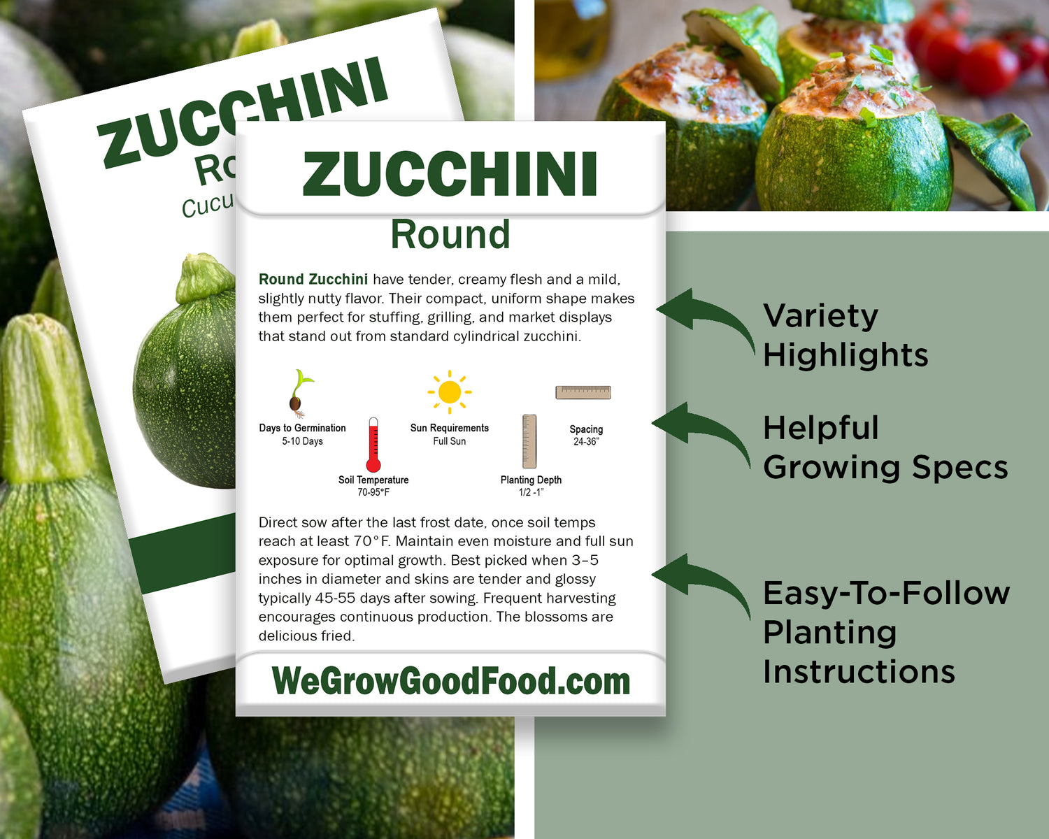 Ultimate Squash Collection – 9 Individually Packaged Varieties