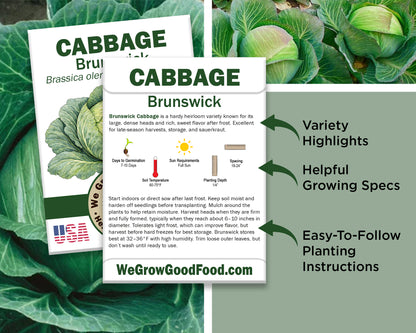 Cabbage Seeds, Brunswick Cabbage