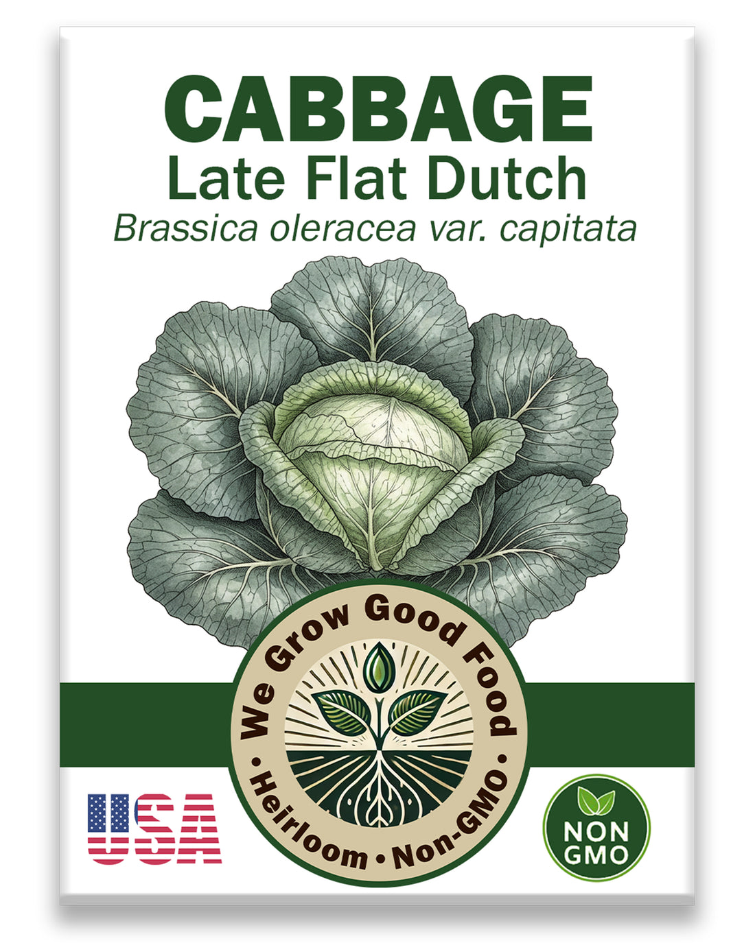 Cabbage Seeds, Late Flat Dutch