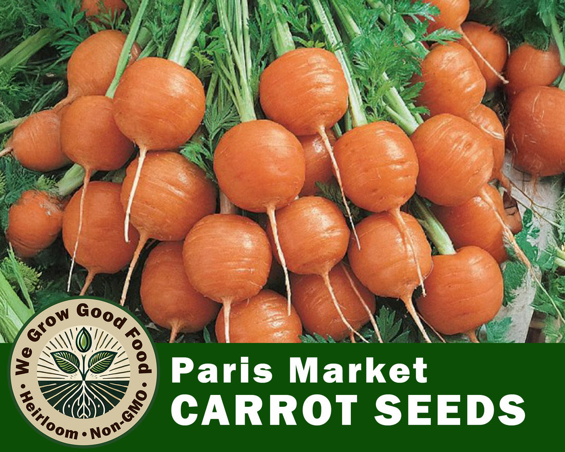 Carrot Seeds, Paris Market