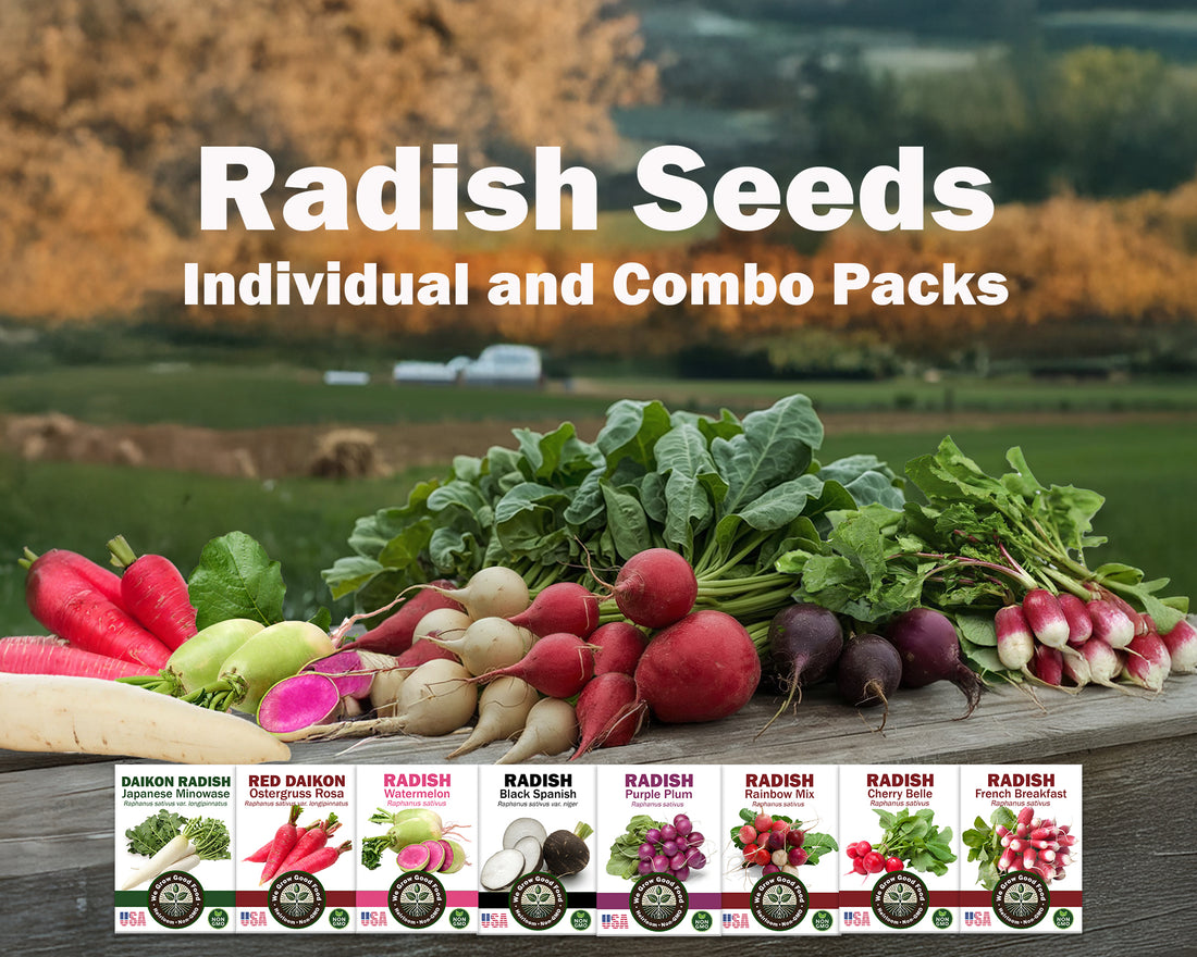 Full Season Radish Seeds for Cool Weather Gardens