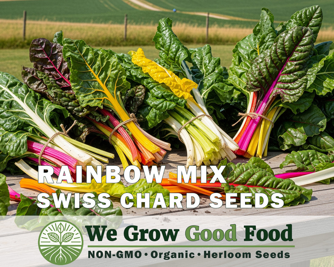 Rainbow Swiss Chard Seeds