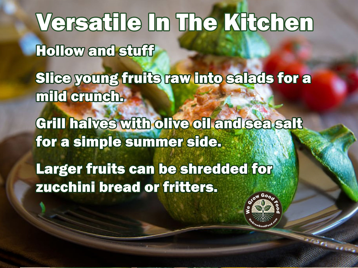 Ultimate Squash Collection – 9 Individually Packaged Varieties