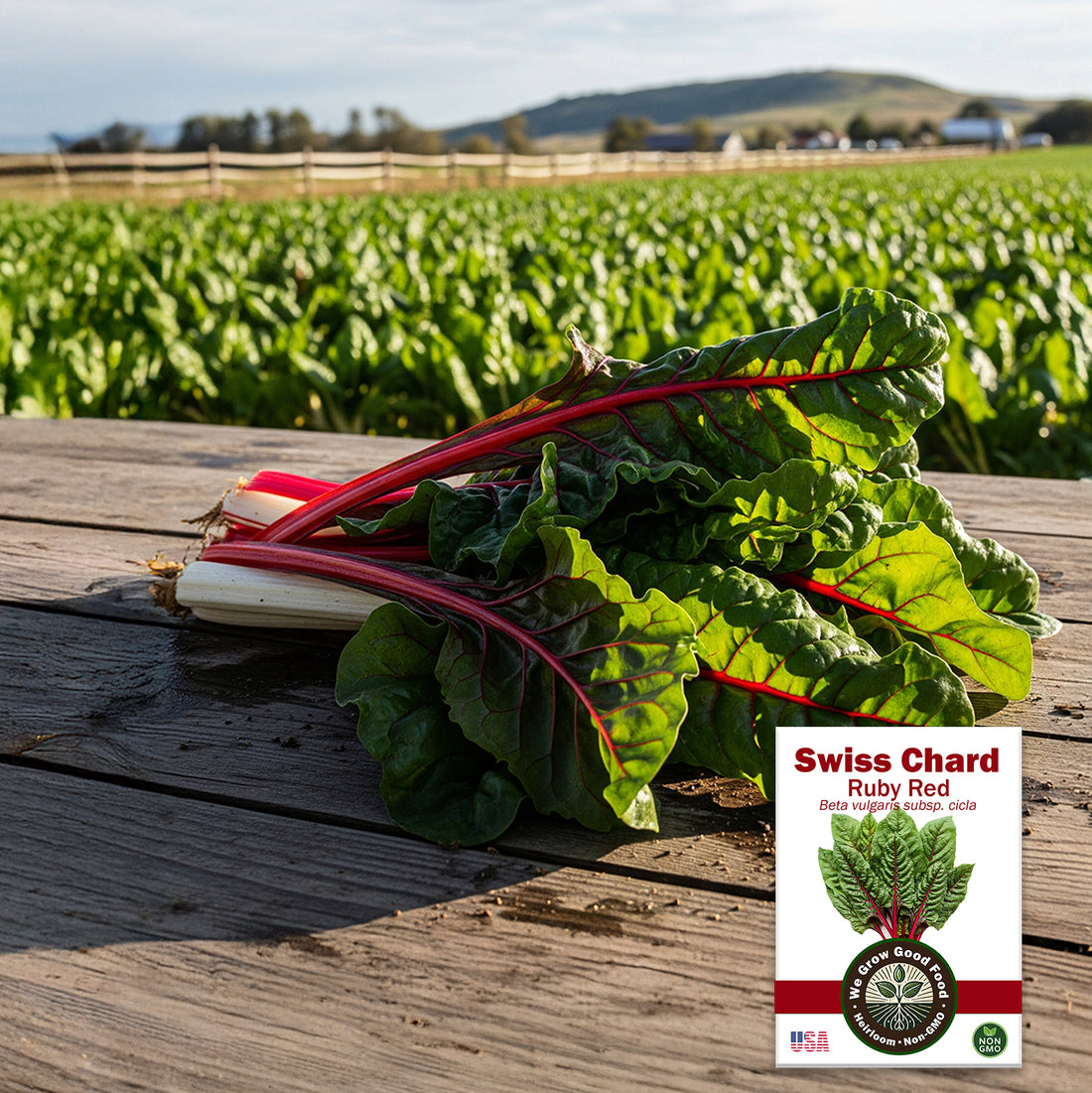 Swiss Chard Seeds, Ruby Red