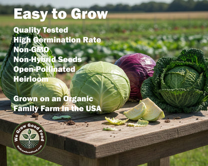 Cabbage Combo - 7 Varieties