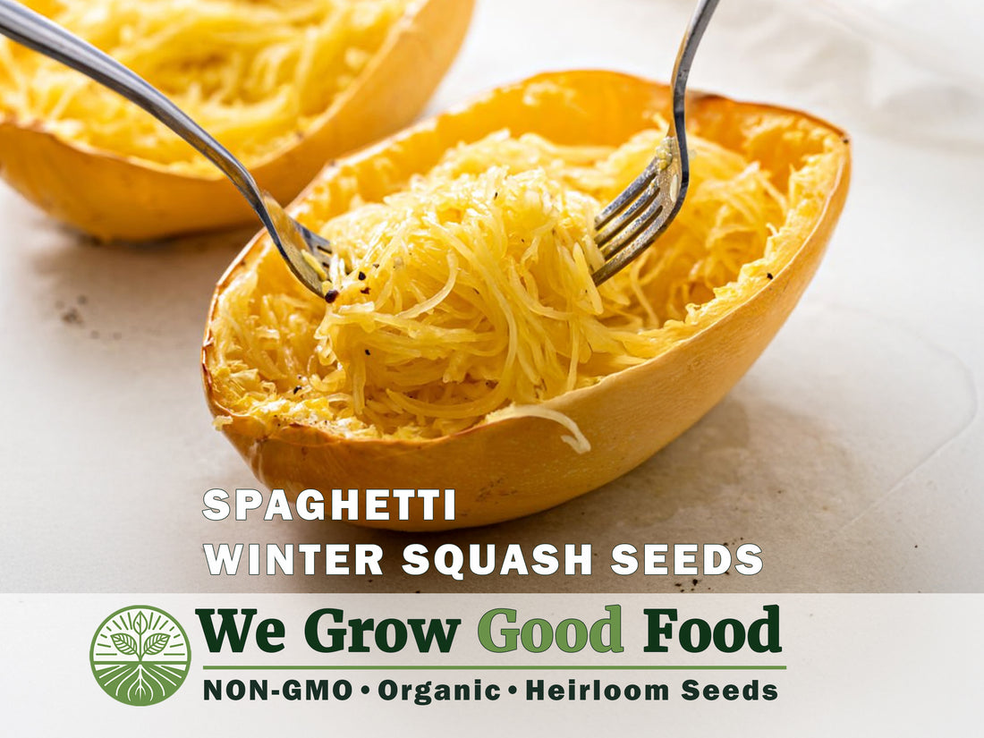 Spaghetti squash cut open showing noodle-like strands and yellow flesh.
Spaghetti squash halves showing the unique noodle-like strands that form when cooked.